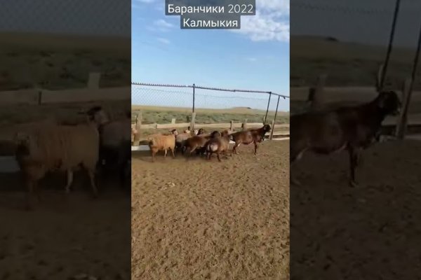 Картинка кракен маркетплейс