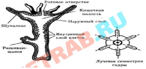 Регистрация на кракен